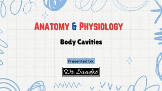 Body Cavities [upl. by Ninos512]