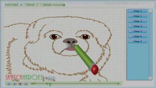 How to draw Pekingese DOG  drawing tutorial video [upl. by Anivol121]