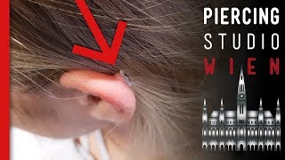 Piercing FAILS  Wildfleisch am Ohr  Hier die Lösung  Piercing TV [upl. by Dray]