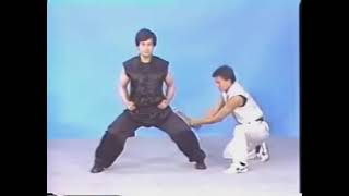 Choy Lee Fut Fundamentals [upl. by Viridis405]