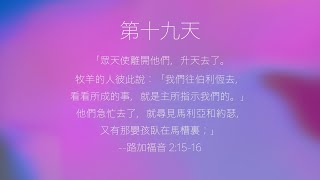 將臨期第十九天，毫不遲疑的信心。 [upl. by Adnuhsed994]