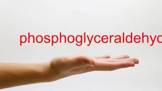 How to Pronounce phosphoglyceraldehyde  American English [upl. by Biron]