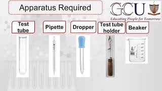 Biochem30  Molisch Test  Qualitative analysis of carbohydrates [upl. by Bettencourt]