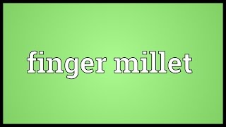 Finger millet Meaning [upl. by Sile]