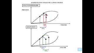 8  Physiologie cardio vasculaire partie 8 [upl. by Padegs471]