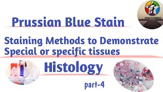 Prussian Blue Stain ll Staining Methods to Demonstrate Special or specific tissues ll Histopathology [upl. by Remot]