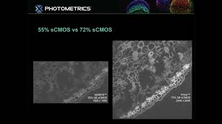 Maximizing Sensitivity The Impact of BSICMOS and ImageProcessing in Scientific Imaging [upl. by Ennailuj308]