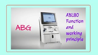 ABL80 Basic setup  How to use ABG machine  Features of ABL80 [upl. by Rudyard]