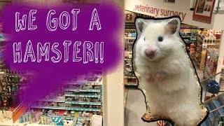 Adopting a New Hamster  Shopping In Pets At Home amp Ikea [upl. by Calise]