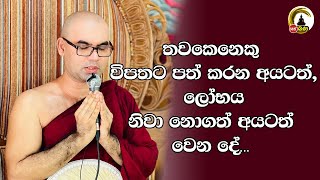 Okkampitiye Kassapa Thero l Swetha Pooja l 2024 07 20 l 400pm [upl. by Atikel]