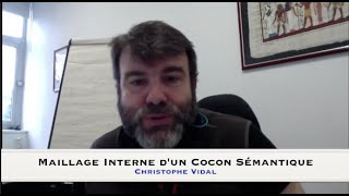 Cocon sémantique  Optimisation du maillage interne  Structure des liens [upl. by Orsino371]