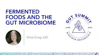 Fermented Foods and the Gut Microbiome by Elisa Song MD at the Biocidin Botanicals 2023 Gut Summit [upl. by Haggi]