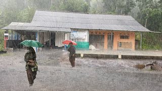 Walk In Heavy Rain and Terrible Thunderstorms  Strong Winds and Powerful Lightning in Village Life [upl. by Airotel]