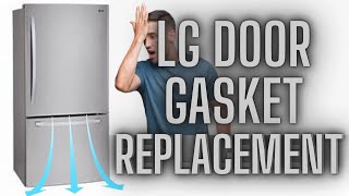 LG Fridge Door Seal Fix Easy Gasket Replacement Guide [upl. by Nallac]