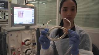 Setting up a Haemodialysis Machine Fresenius 5008 [upl. by Aruon]