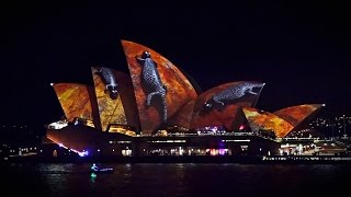 Vivid light festival 2016 Sydney Opera House full hd 50fps Australia [upl. by Alih]