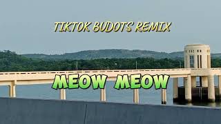 MEOW MEOW TIKTOK BUDOTS REMIX [upl. by Nodlew]