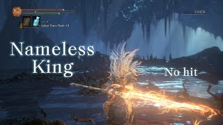 Nameless King Vs Midir Boss Fight No Damage  Hit [upl. by Noelopan917]