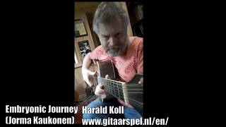 Embryonic Journey  Jefferson Airplane Jorma Kaukonen [upl. by Nyleuqaj]