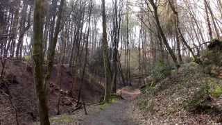 Essen KettwigSchloss LandsbergWald1432014 [upl. by Enuahs324]