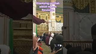 Suasana didalam roudhohmasjid Nabawimadinahmunawwarah umroh 🌹videoshort [upl. by Nalla887]