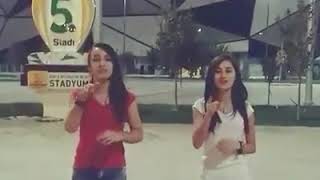 Arar Buluruz İzini Türkiye Milli Marş İşaret Dili  2016 [upl. by Ayhtin945]