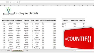 Advanced COUNTIF Function in Excel [upl. by Eirehs721]