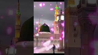 Ao madinae chalain 🕊️💕❤️‍🩹madina shorts Islamicworld trending islam Islamic1545 [upl. by Anyehs31]