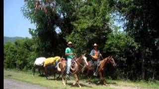 Cuba quotFrutas del Caneyquot Trío Matamoros [upl. by Margarida]