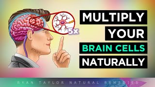 12 Ways To MULTIPLY Your BRAIN CELLS [upl. by Sasha]