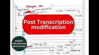 Posttranscriptional modification  Splicing Cap Tail Introns Exons RNA editing [upl. by Dillon]