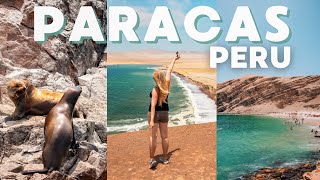 Exploring the beautiful Paracas national reserve sea lions amp penguins 🐧 Peru travel vlog [upl. by Ader]