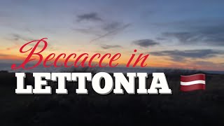 Baccacce in Lettonia🇱🇻 TRAILER woodcock hunting in Lettonia 🇱🇻 [upl. by Methuselah]