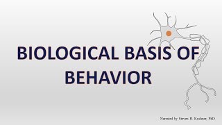 Biological Basis of Behavior [upl. by Yendic]