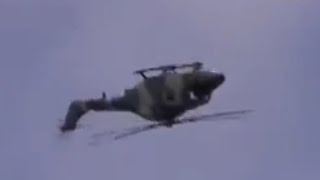 British Lynx do the craziest maneuvers youve ever seen [upl. by Pulchia]