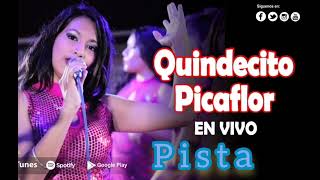 QUINDERCITO PICAFLOR DELEITES ANDINOS PISTA [upl. by Rashidi]