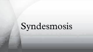 Syndesmosis [upl. by Kceb]