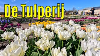 De Tulperij april 2024 part 1 [upl. by Fretwell573]