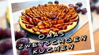 Omas 👵🏻 Zwetschgenkuchen 🥧 herbst kuchen omasrezepte [upl. by Gui]