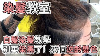 白髮怎麼染｜逆齡髮色｜女生染髮教學 髮型師諾曼 [upl. by Fidel]