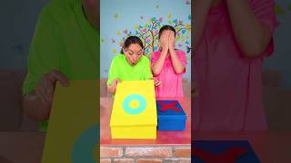 Mystery Surprise Box Challenge FamilyBooms shorts [upl. by Farr]