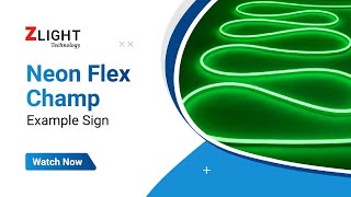 Zlight Technology  Neon Flex Champ  Example Sign [upl. by Annij]