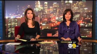 Leyna Nguyen 20121029 KCAL9 HD [upl. by Arndt104]