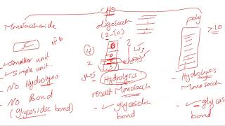 introduction to carbohydrate chemistry [upl. by Vaasta592]