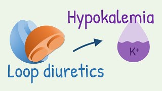 How diuretics cause hypokalemia [upl. by Llorrad]