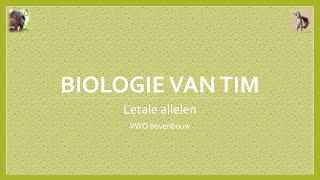 Biologie van Tim  Letale allelen bovenbouw [upl. by Galatia]