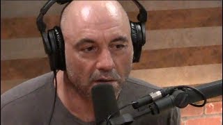 Joe Rogan  Living a Life of Quiet Desperation [upl. by Netloc]