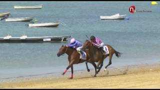 1 Carrera de Caballos premio Havana Club  Jornada 26 de agosto 2016  Sanlúcar de Barrameda [upl. by Levey]