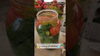 Малосольные огурцы ВКУСНО  помидоры малосольные shorts pickles pickled marinated cucumber [upl. by Arabrab148]