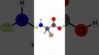 MillerUrey Experiment [upl. by Elohcin251]